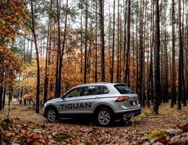 VW Tiguan in the woods